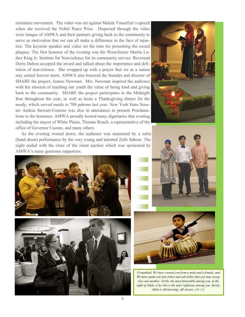 AMWA Newsletter 2015-page-003